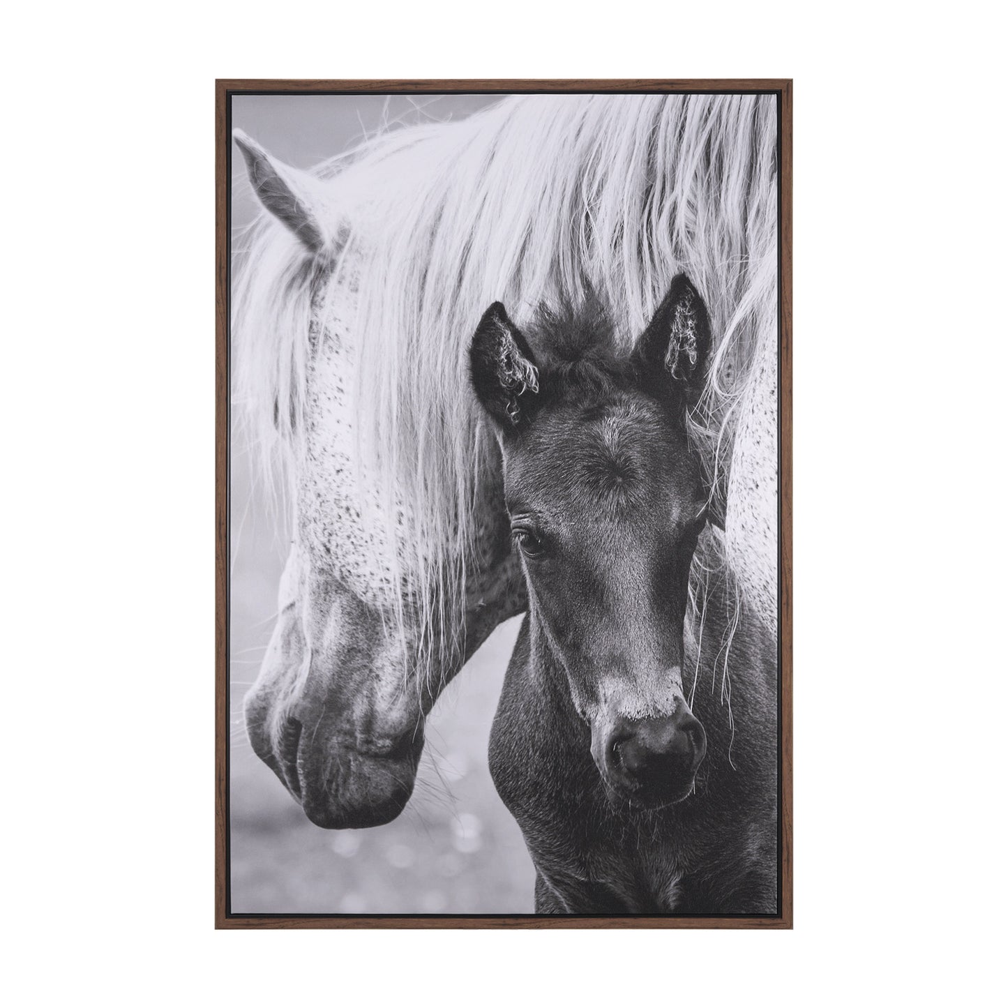 The Foal Framed Canvas Art