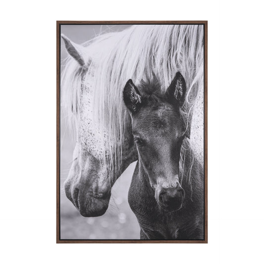 The Foal Framed Canvas Art
