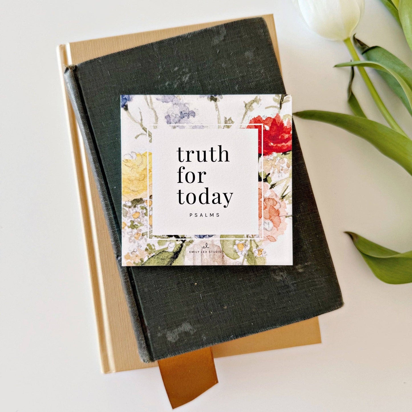 Truth for Today: Psalms Scripture Card Set by Emily Lex featuring 31 watercolor-illustrated Psalms printed on premium cotton eggshell textured paper.