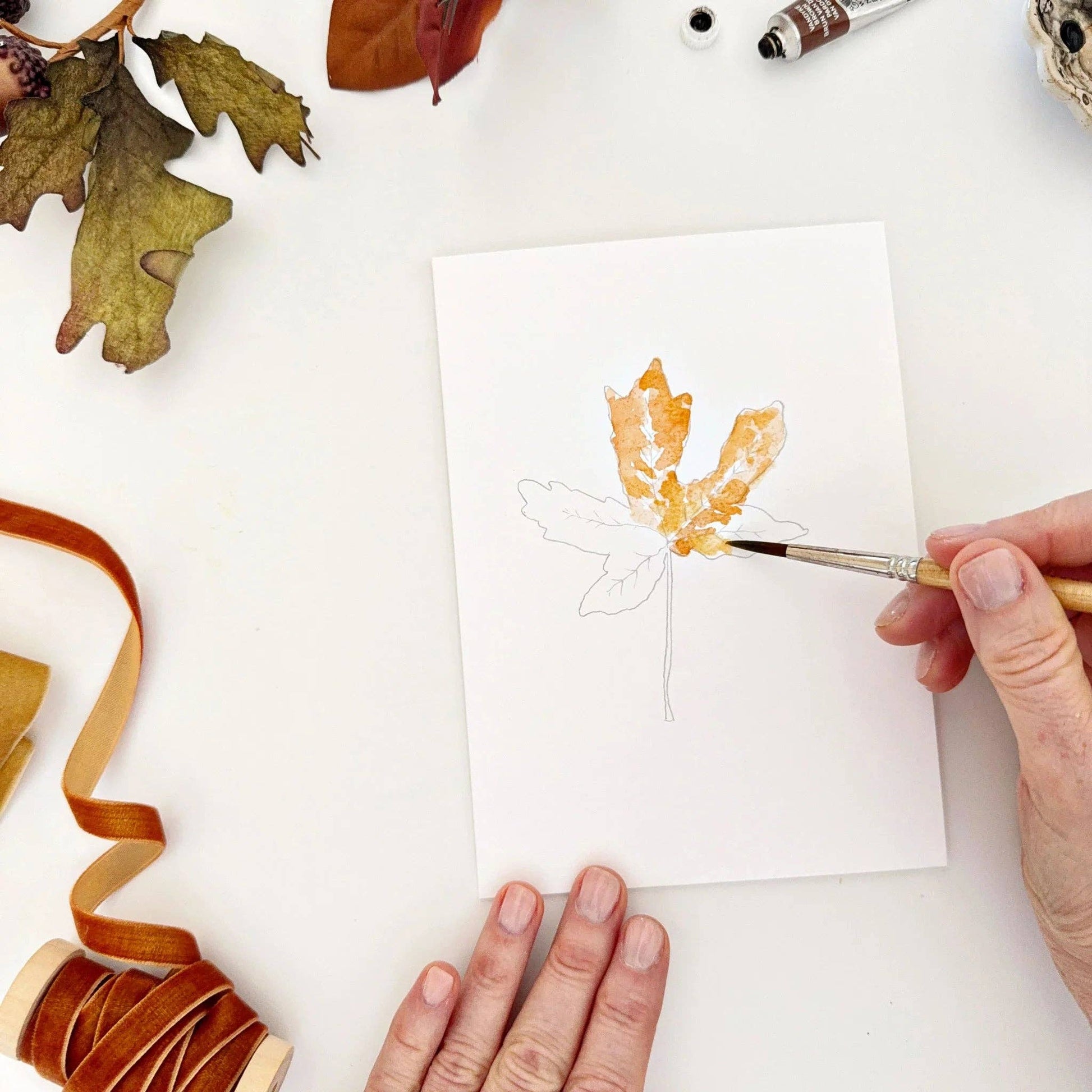 Close-up of watercolor-ready autumn leaf notecards featuring maple, maple stem, oak, and aspen botanical illustrations.