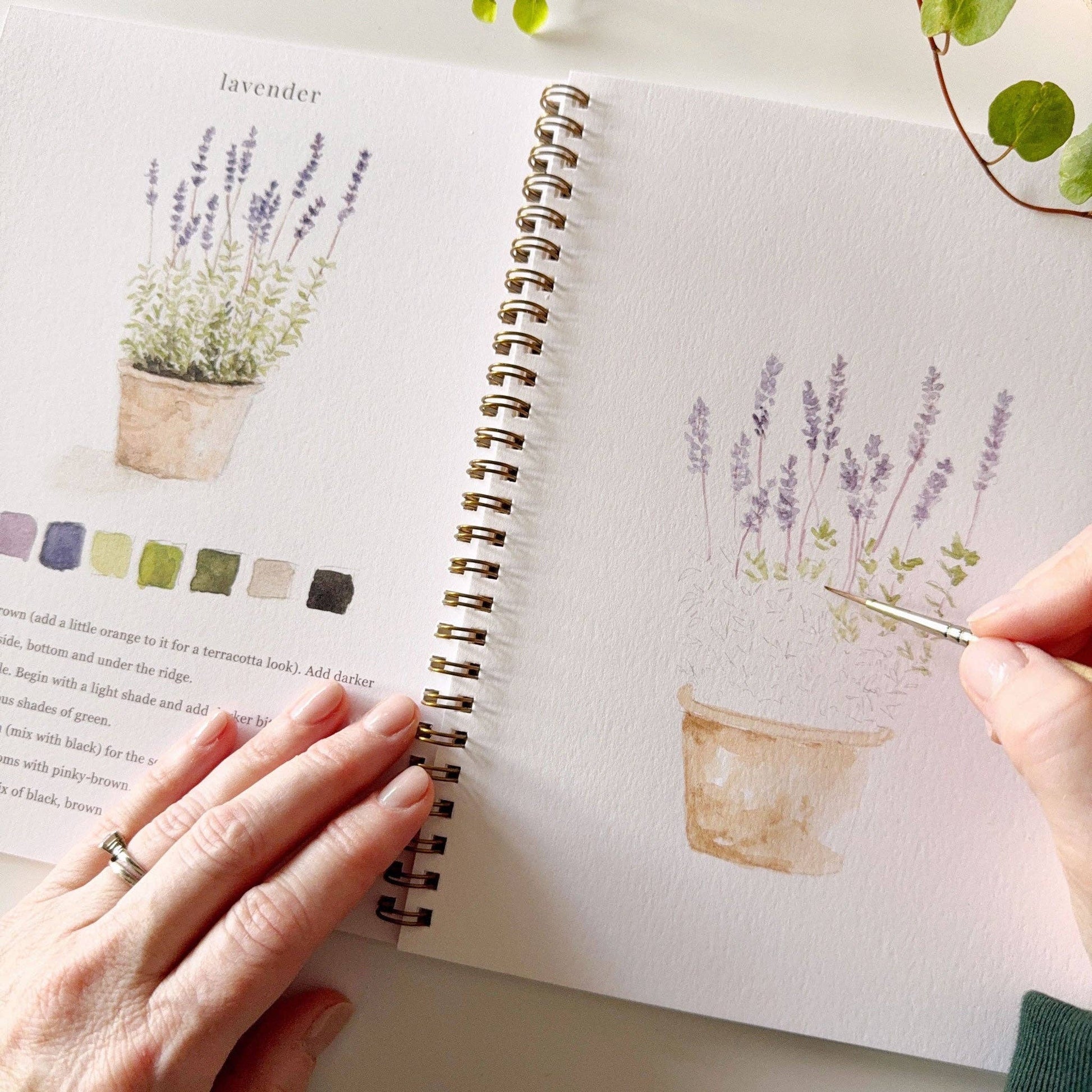 Emily Lex watercolor workbook displayed in a creative cottage-inspired setting.