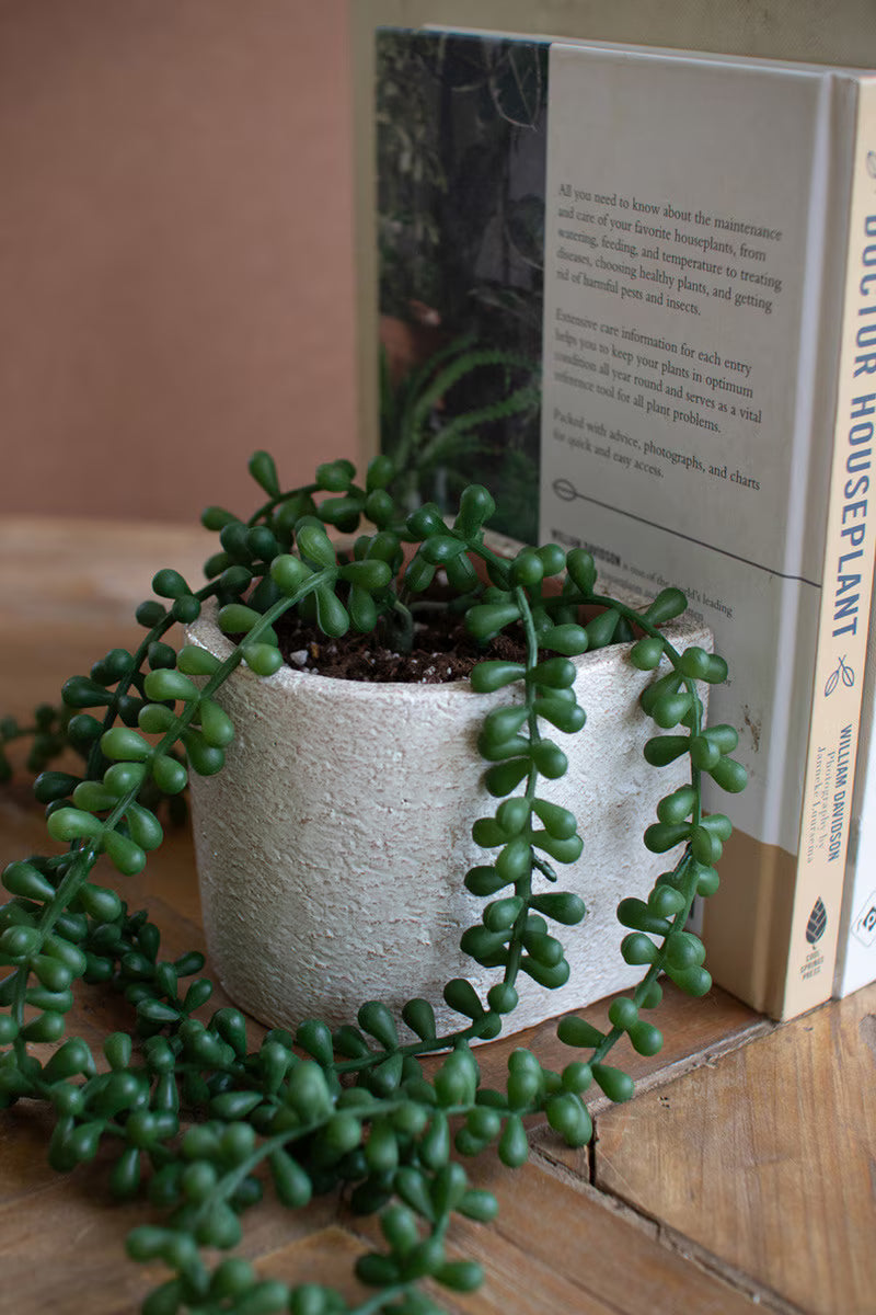 Modern white concrete bookend planter with clean architectural lines.